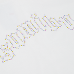 On Froze Tee | White - Multi